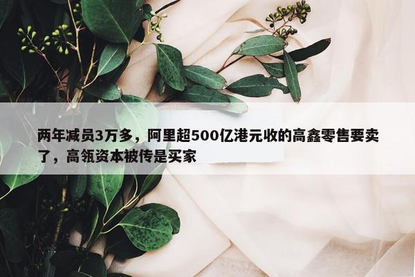 两年减员3万多，阿里超500亿港元收的高鑫零售要卖了，高瓴资本被传是买家