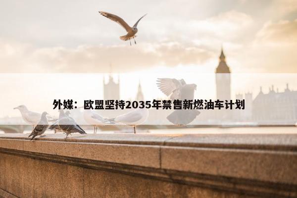 外媒：欧盟坚持2035年禁售新燃油车计划