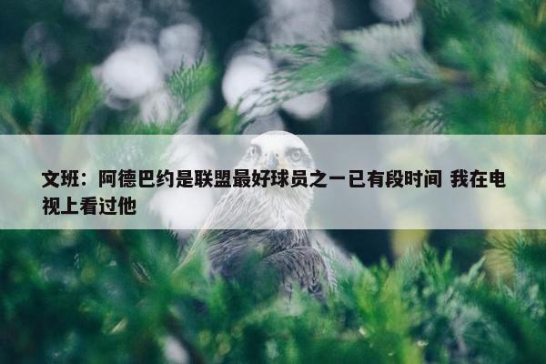 文班：阿德巴约是联盟最好球员之一已有段时间 我在电视上看过他