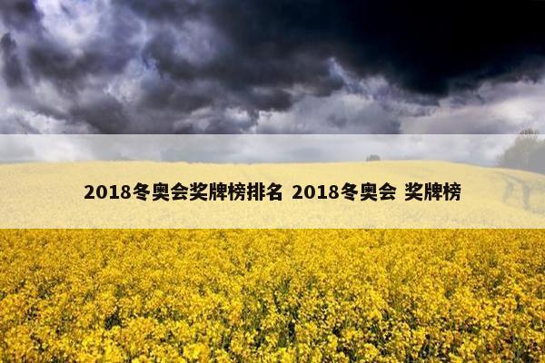 2018冬奥会奖牌榜排名 2018冬奥会 奖牌榜