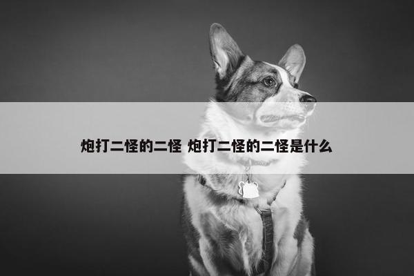 炮打二怪的二怪 炮打二怪的二怪是什么