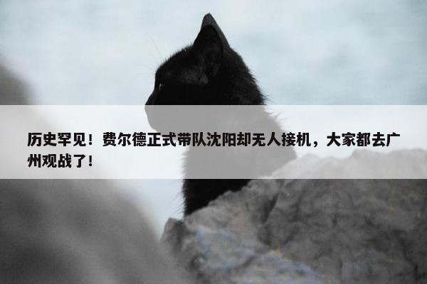 历史罕见！费尔德正式带队沈阳却无人接机，大家都去广州观战了！