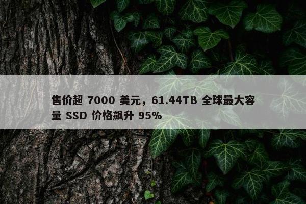 售价超 7000 美元，61.44TB 全球最大容量 SSD 价格飙升 95%