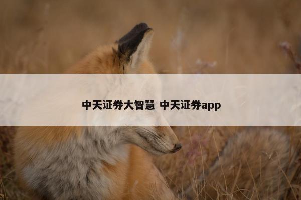 中天证券大智慧 中天证券app