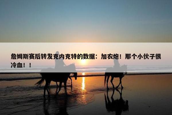 詹姆斯赛后转发克内克特的数据：加农炮！那个小伙子很冷血！！