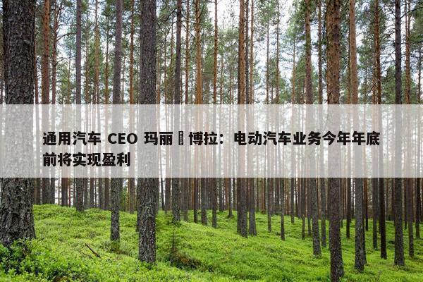 通用汽车 CEO 玛丽・博拉：电动汽车业务今年年底前将实现盈利