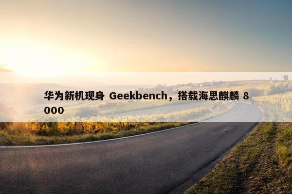 华为新机现身 Geekbench，搭载海思麒麟 8000