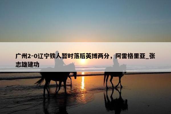 广州2-0辽宁铁人暂时落后英博两分，阿雷格里亚_张志雄建功