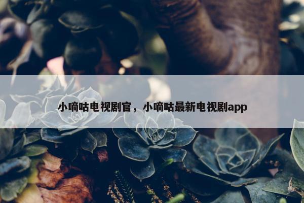 小嘀咕电视剧官，小嘀咕最新电视剧app