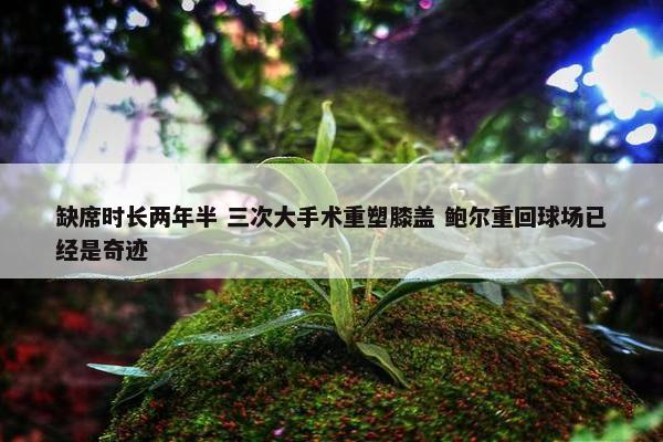 缺席时长两年半 三次大手术重塑膝盖 鲍尔重回球场已经是奇迹