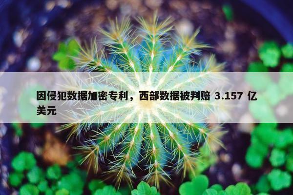 因侵犯数据加密专利，西部数据被判赔 3.157 亿美元