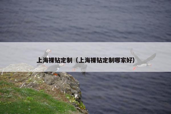 上海裸钻定制（上海裸钻定制哪家好）