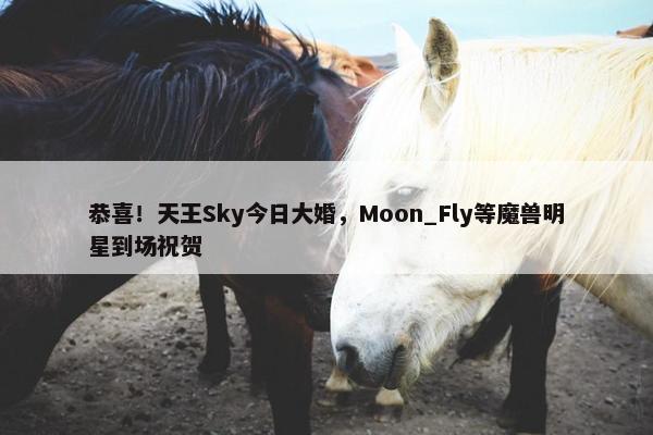 恭喜！天王Sky今日大婚，Moon_Fly等魔兽明星到场祝贺