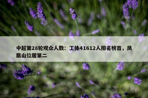 中超第28轮观众人数：工体41612人排名榜首，凤凰山位居第二