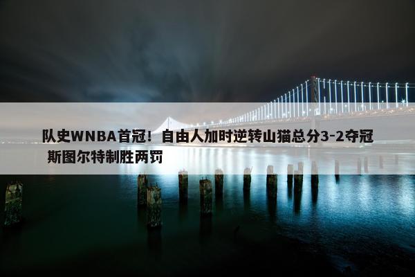 队史WNBA首冠！自由人加时逆转山猫总分3-2夺冠 斯图尔特制胜两罚