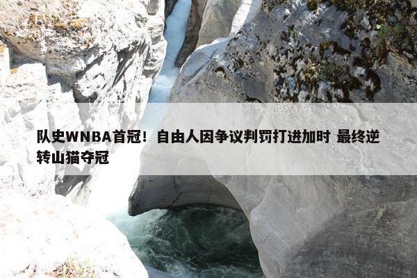 队史WNBA首冠！自由人因争议判罚打进加时 最终逆转山猫夺冠