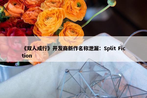 《双人成行》开发商新作名称泄漏：Split Fiction