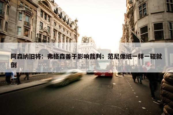 阿森纳旧将：弗格森善于影响裁判；范尼像纸一样一碰就倒