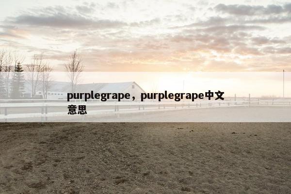 purplegrape，purplegrape中文意思