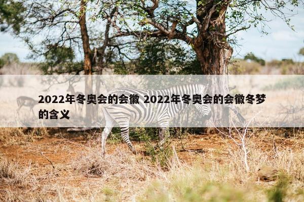 2022年冬奥会的会徽 2022年冬奥会的会徽冬梦的含义