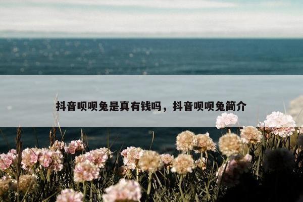 抖音呗呗兔是真有钱吗，抖音呗呗兔简介