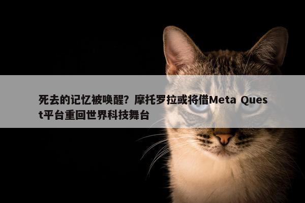 死去的记忆被唤醒？摩托罗拉或将借Meta Quest平台重回世界科技舞台