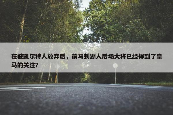 在被凯尔特人放弃后，前马刺湖人后场大将已经得到了皇马的关注？