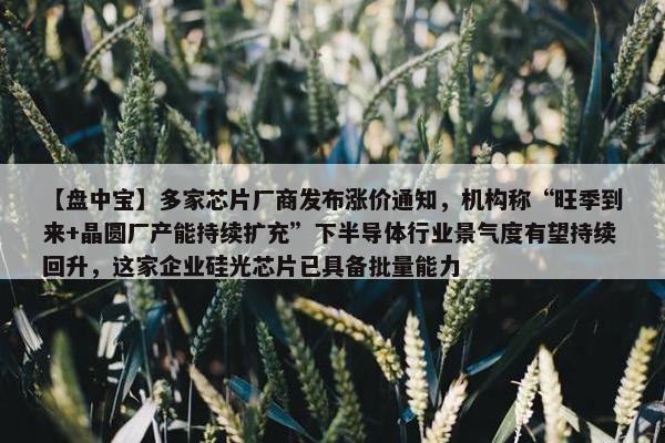 【盘中宝】多家芯片厂商发布涨价通知，机构称“旺季到来+晶圆厂产能持续扩充”下半导体行业景气度有望持续回升，这家企业硅光芯片已具备批量能力