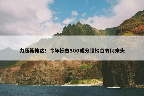 力压英伟达！今年标普500成分股榜首有何来头