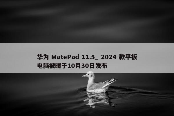 华为 MatePad 11.5_ 2024 款平板电脑被曝于10月30日发布