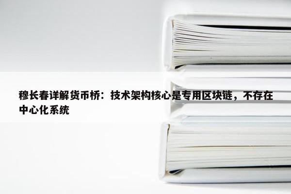 穆长春详解货币桥：技术架构核心是专用区块链，不存在中心化系统