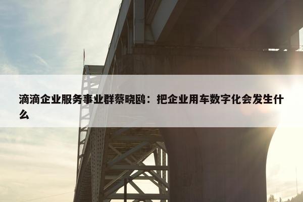 滴滴企业服务事业群蔡晓鸥：把企业用车数字化会发生什么