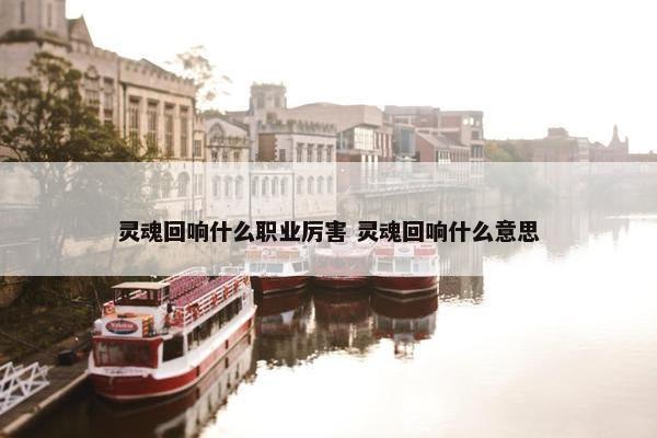 灵魂回响什么职业厉害 灵魂回响什么意思