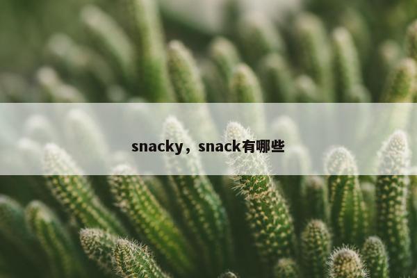 snacky，snack有哪些