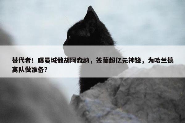 替代者！曝曼城截胡阿森纳，签葡超亿元神锋，为哈兰德离队做准备？