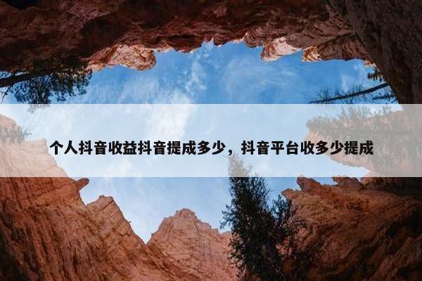 个人抖音收益抖音提成多少，抖音平台收多少提成