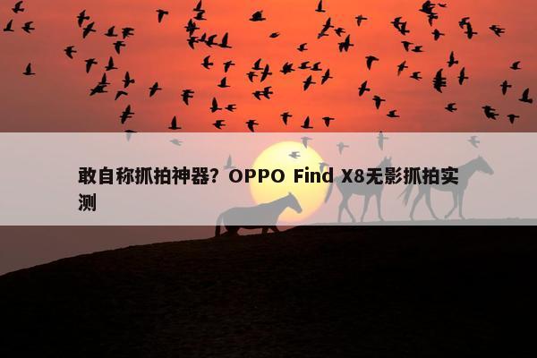 敢自称抓拍神器？OPPO Find X8无影抓拍实测