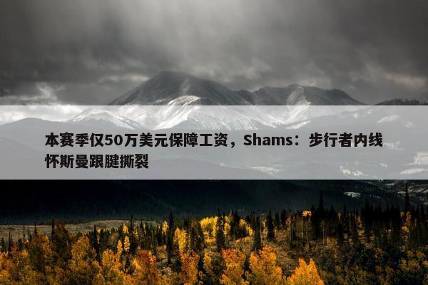 本赛季仅50万美元保障工资，Shams：步行者内线怀斯曼跟腱撕裂