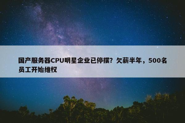 国产服务器CPU明星企业已停摆？欠薪半年，500名员工开始维权