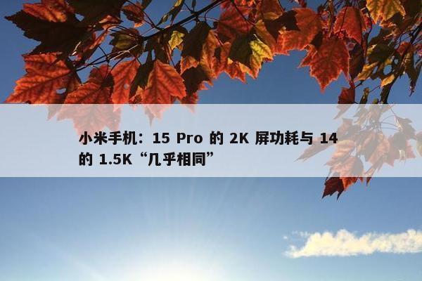 小米手机：15 Pro 的 2K 屏功耗与 14 的 1.5K“几乎相同”