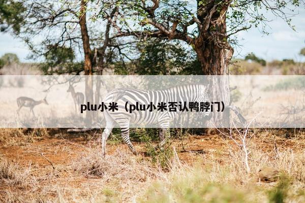 plu小米（plu小米否认鸭脖门）