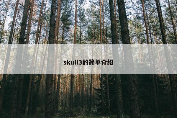 skull3的简单介绍