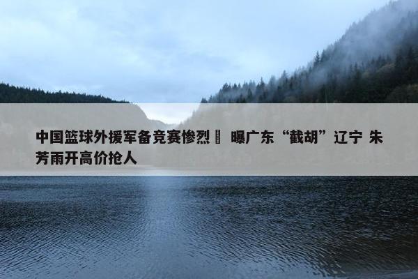 中国篮球外援军备竞赛惨烈  曝广东“截胡”辽宁 朱芳雨开高价抢人