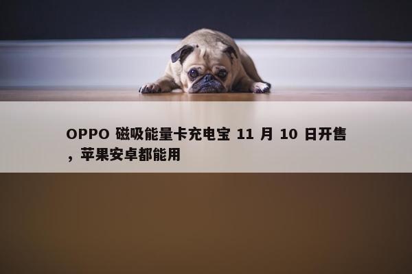 OPPO 磁吸能量卡充电宝 11 月 10 日开售，苹果安卓都能用