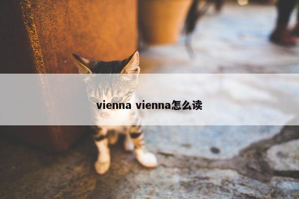 vienna vienna怎么读