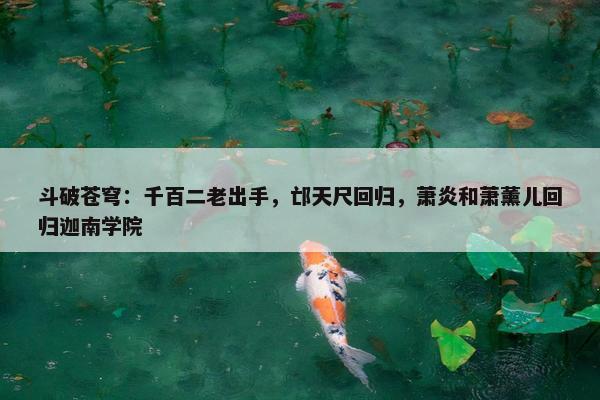 斗破苍穹：千百二老出手，邙天尺回归，萧炎和萧薰儿回归迦南学院