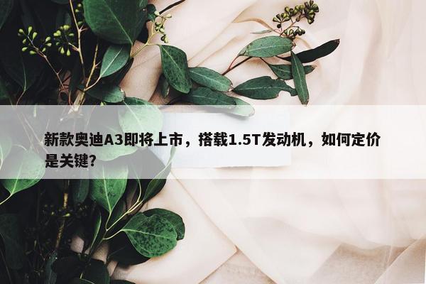 新款奥迪A3即将上市，搭载1.5T发动机，如何定价是关键？