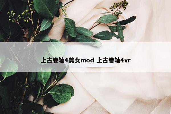 上古卷轴4美女mod 上古卷轴4vr