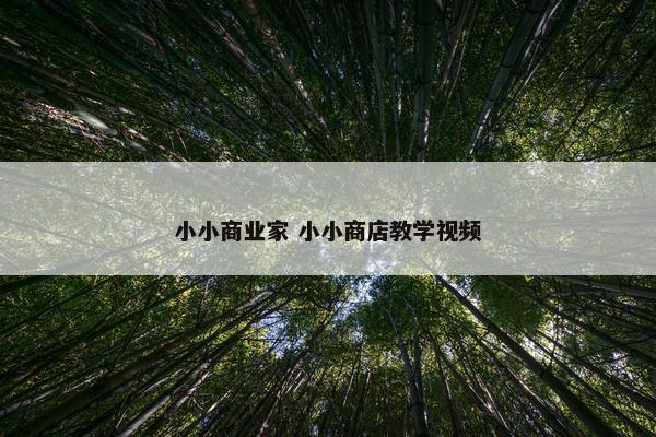 小小商业家 小小商店教学视频