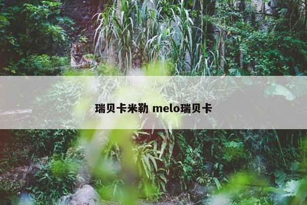 瑞贝卡米勒 melo瑞贝卡